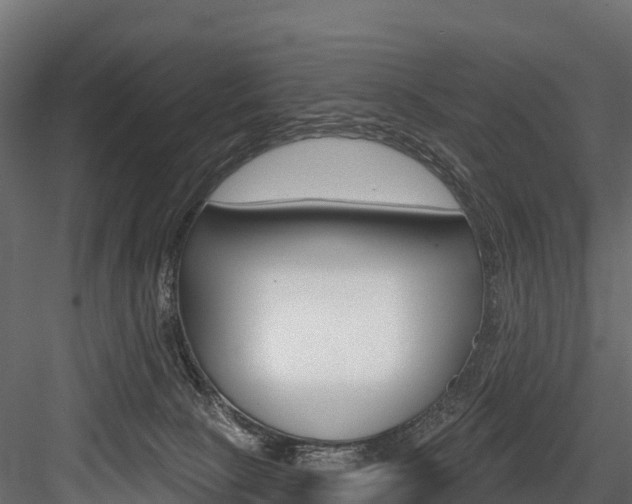 X0000084560081200702231013