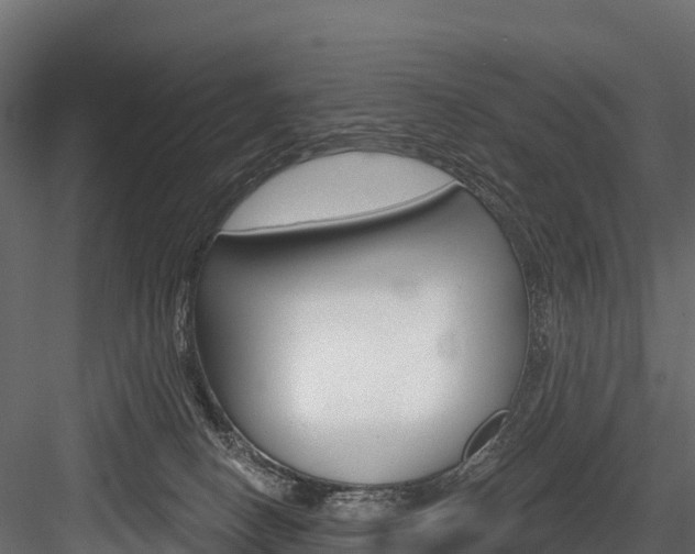 X0000084560082200702231013