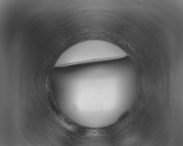 X0000084560083200702231013
