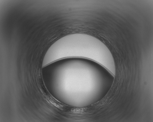 X0000084560084200702231013