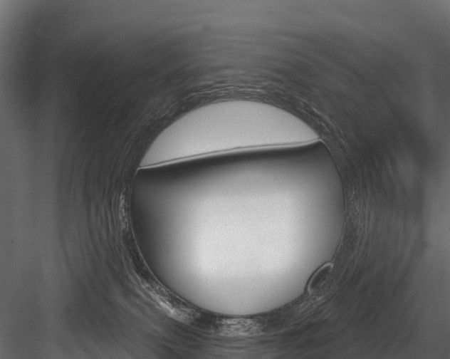 X0000084560087200702231013