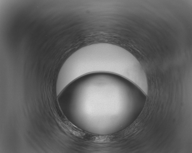 X0000084560088200702231013