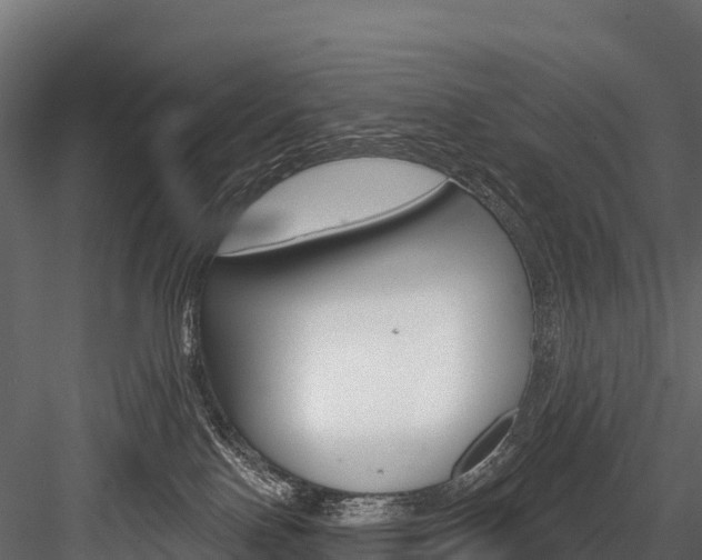 X0000084560090200702231013