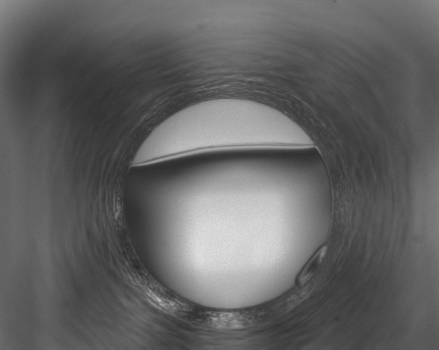 X0000084560091200702231013