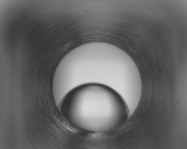 X0000084560092200702231013