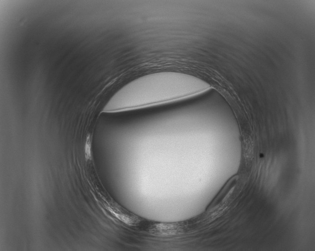 X0000084560095200702231013