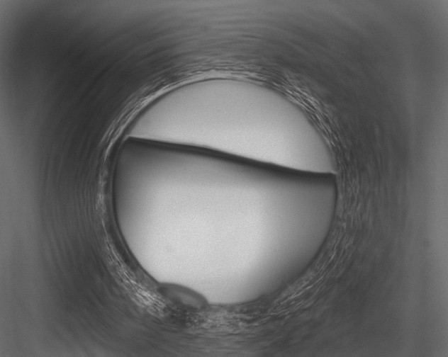 X0000084560098200702231012