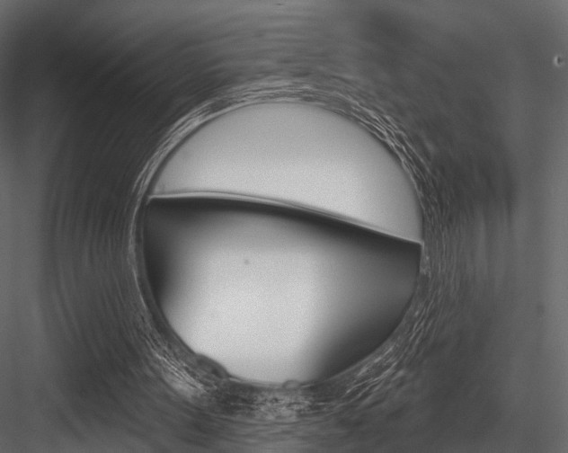 X0000084560099200702231012