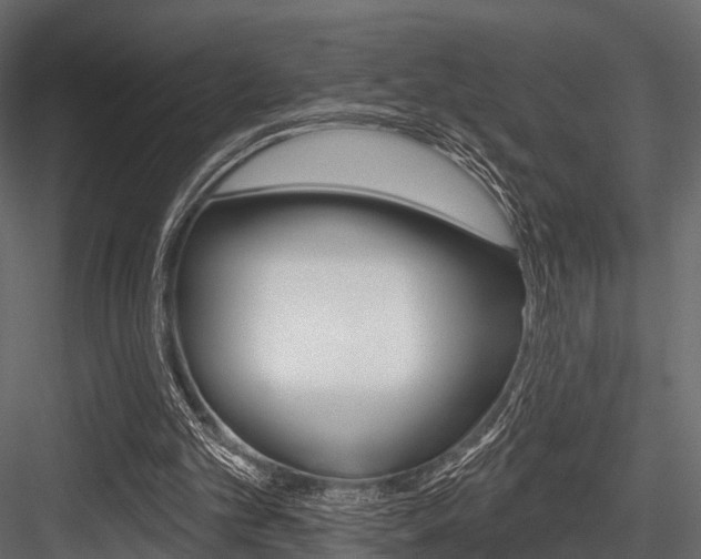 X0000084560101200702231012
