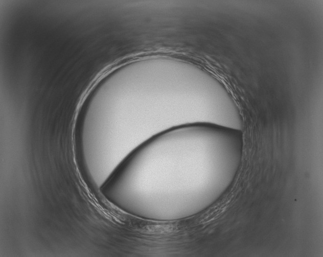 X0000084560102200702231012