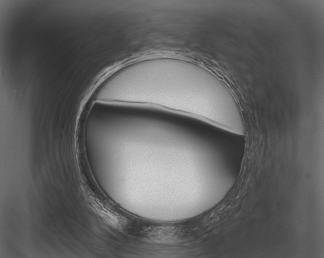 X0000084560104200702231012