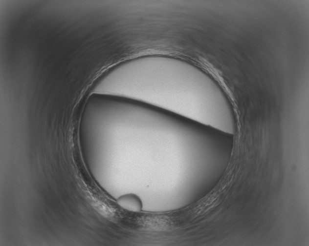 X0000084560106200702231012