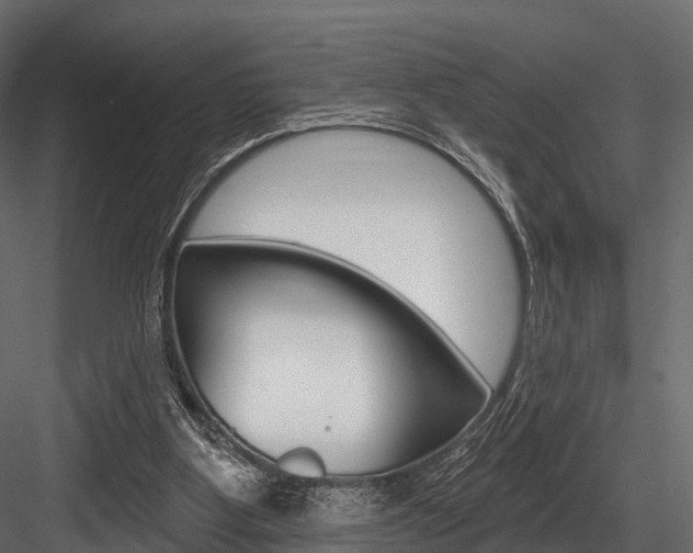 X0000084560107200702231012
