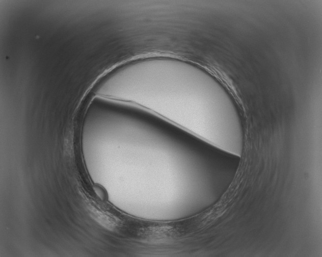 X0000084560108200702231012