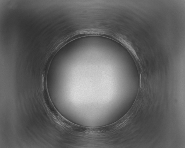 X0000084560109200702231012