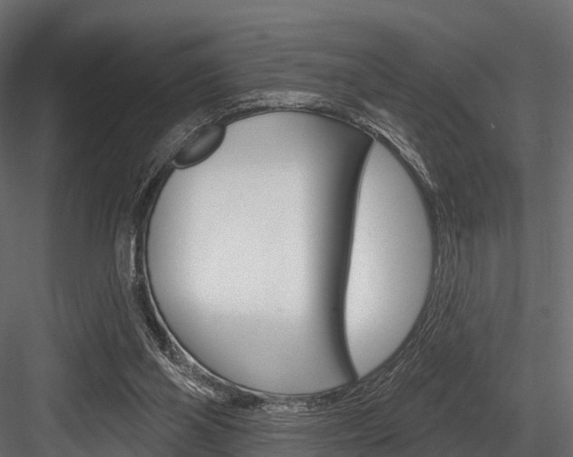 X0000084560110200702231012
