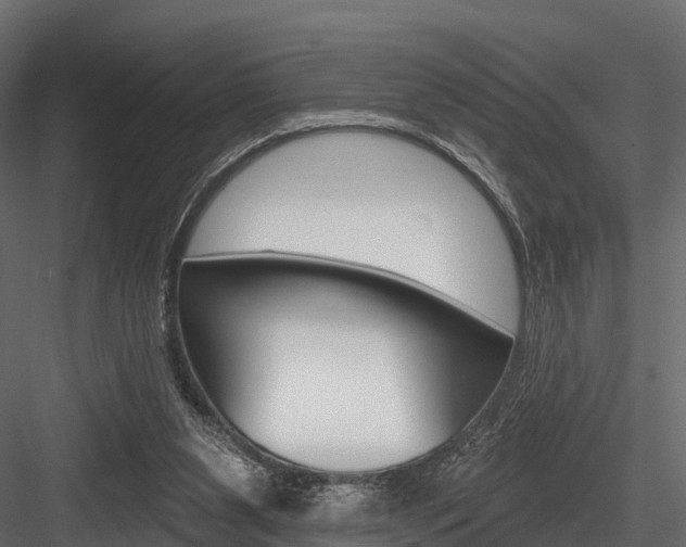 X0000084560111200702231012