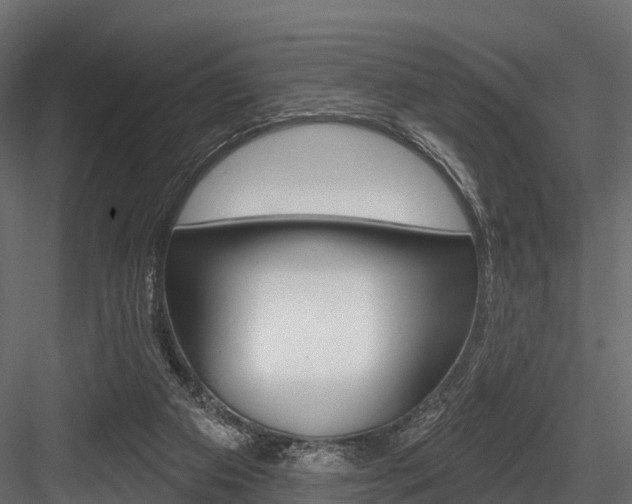 X0000084560113200702231012