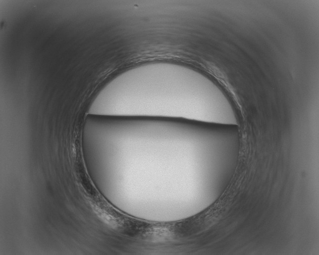 X0000084560114200702231012