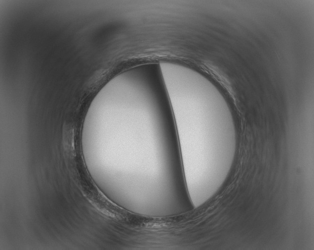 X0000084560115200702231012