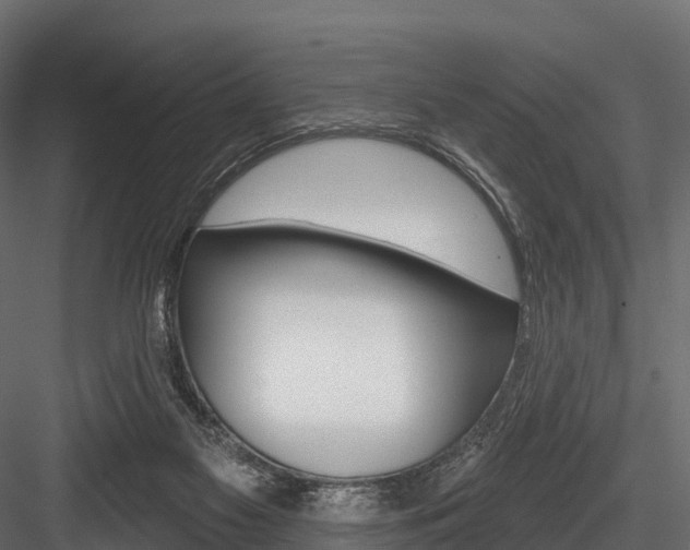 X0000084560117200702231012