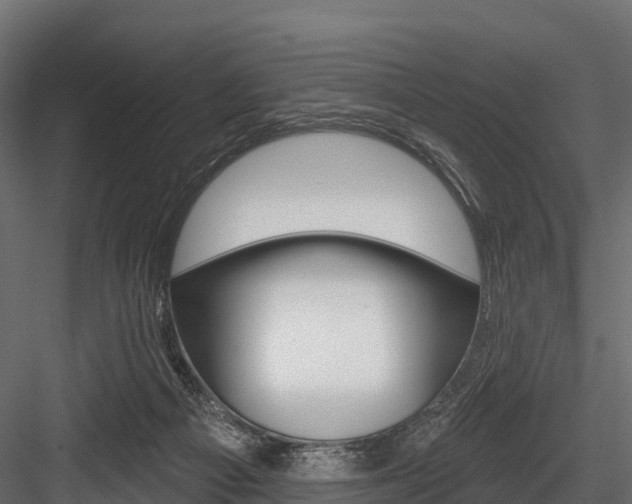 X0000084560121200702231012