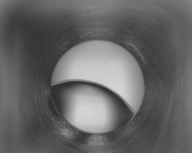 X0000084560123200702231012