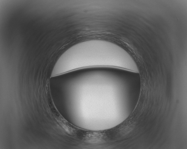 X0000084560125200702231012