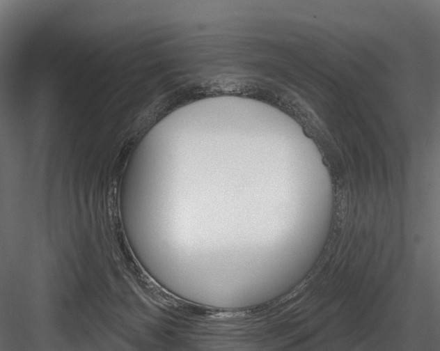 X0000084560126200702231012