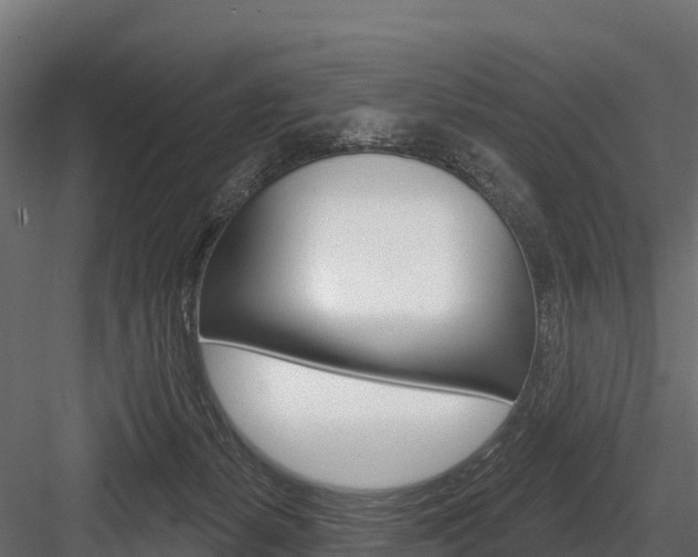 X0000084560127200702231012