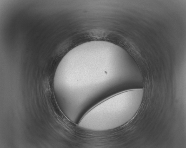 X0000084560128200702231012