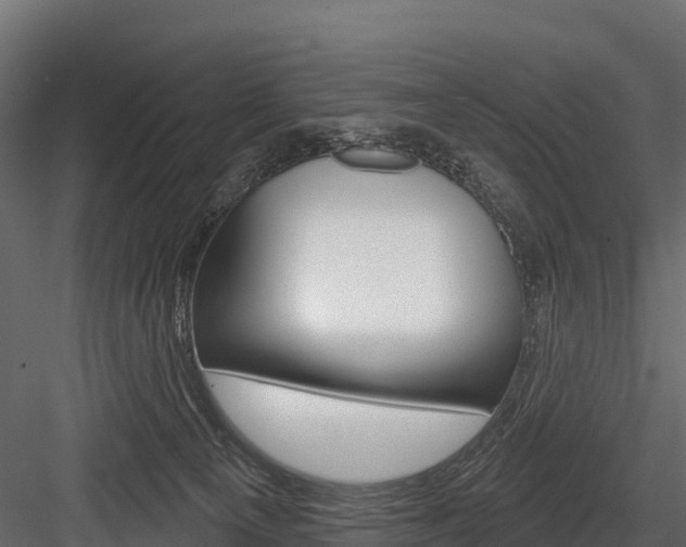 X0000084560129200702231012