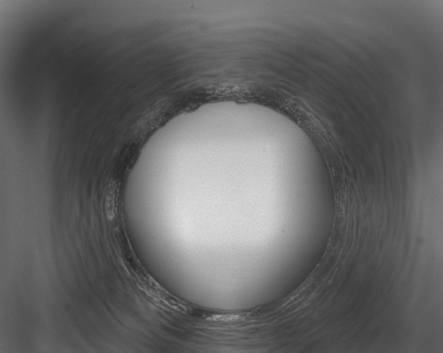 X0000084560133200702231012