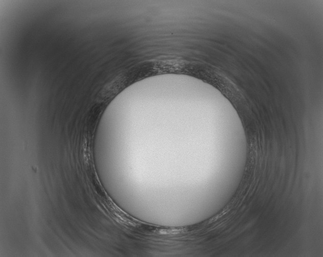 X0000084560134200702231011