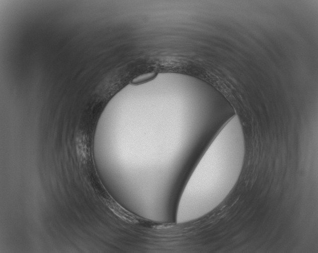 X0000084560135200702231011