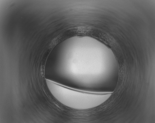 X0000084560137200702231011