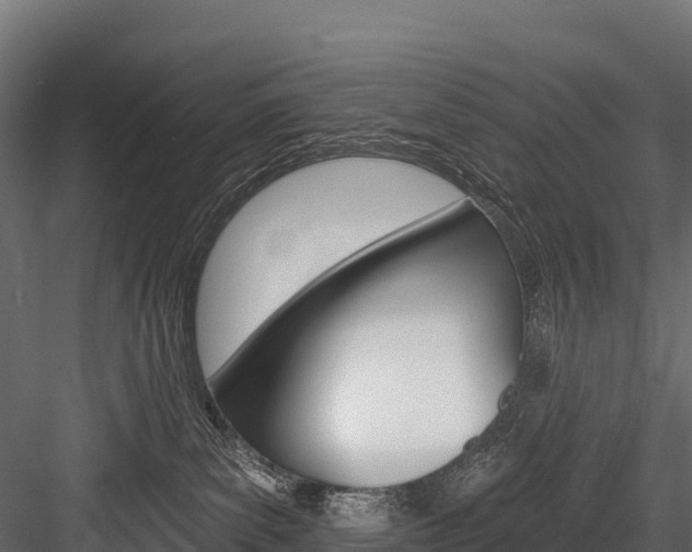 X0000084560139200702231011