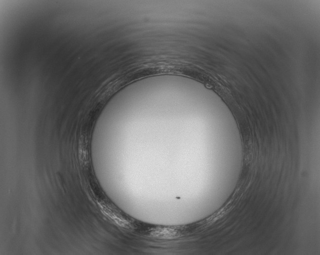 X0000084560140200702231011