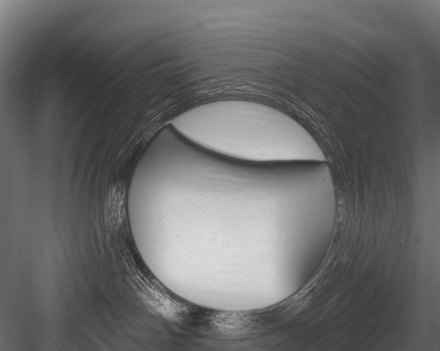 X0000084560142200702231011