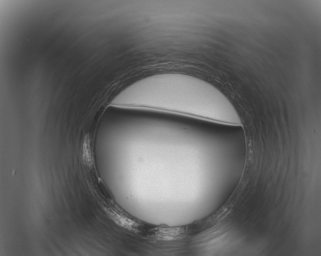 X0000084560143200702231011