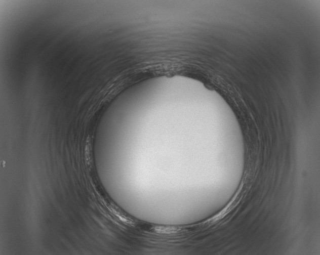X0000084560144200702231011