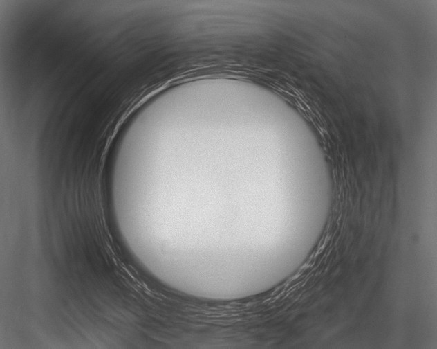 X0000084560146200702231011