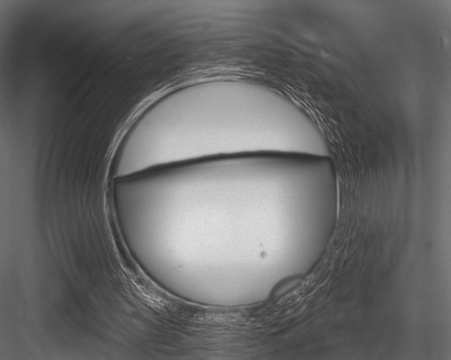X0000084560147200702231011