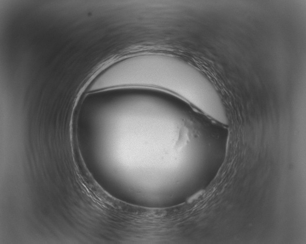 X0000084560148200702231011