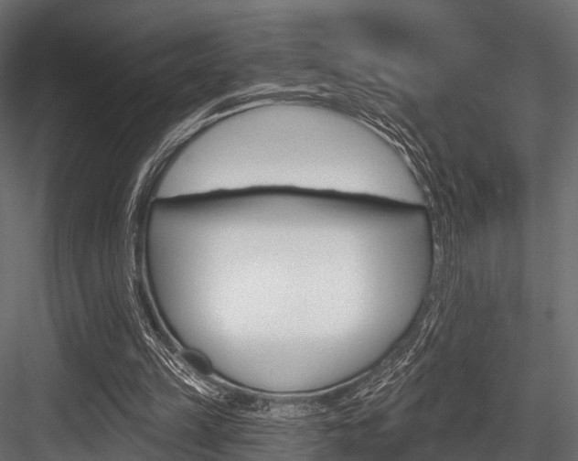 X0000084560149200702231011
