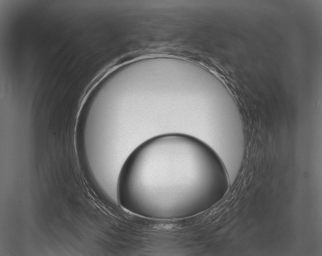 X0000084560152200702231011