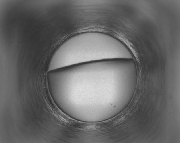 X0000084560153200702231011