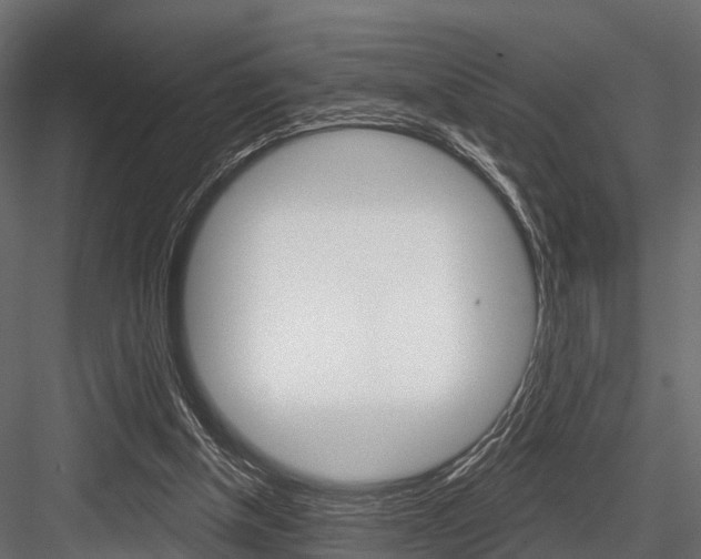 X0000084560154200702231011