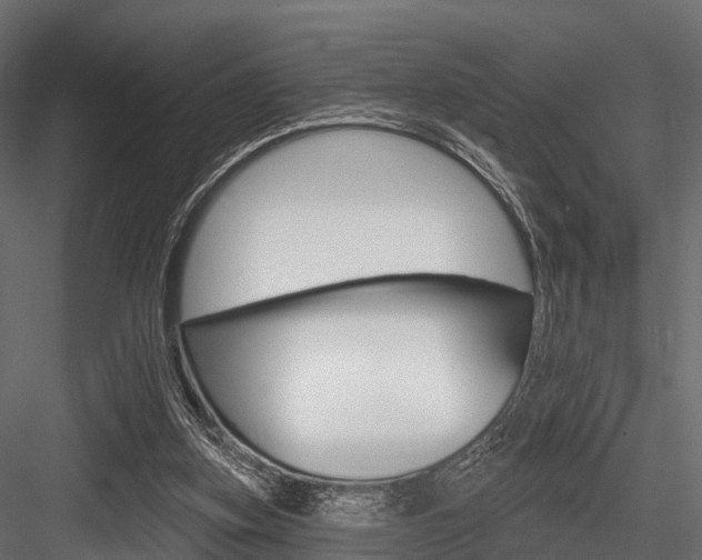 X0000084560155200702231011
