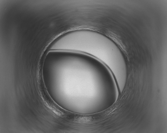 X0000084560156200702231011